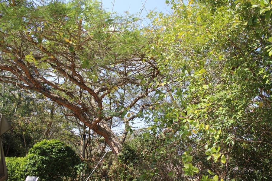 4 Bedroom Property for Sale in The Edge Mpumalanga