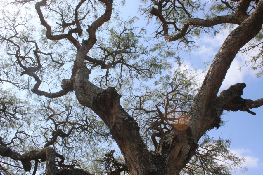 4 Bedroom Property for Sale in The Edge Mpumalanga