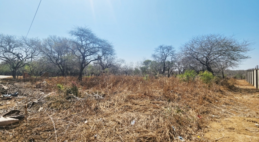 0 Bedroom Property for Sale in Hectorspruit Mpumalanga