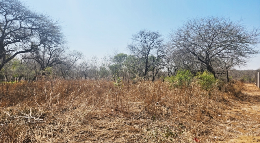 0 Bedroom Property for Sale in Hectorspruit Mpumalanga