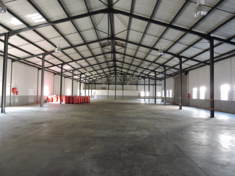 To Let commercial Property for Rent in Rocky Drift Mpumalanga