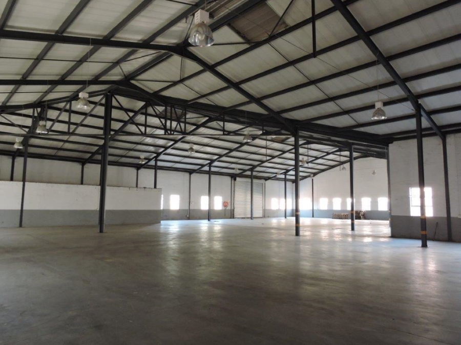 To Let commercial Property for Rent in Rocky Drift Mpumalanga