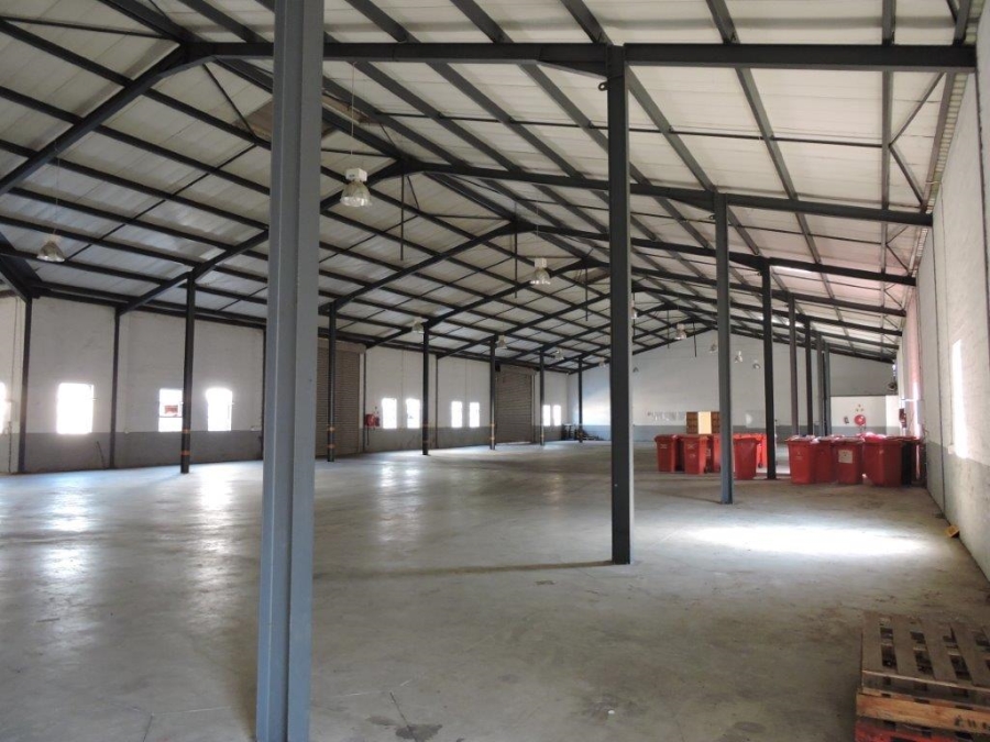 To Let commercial Property for Rent in Rocky Drift Mpumalanga