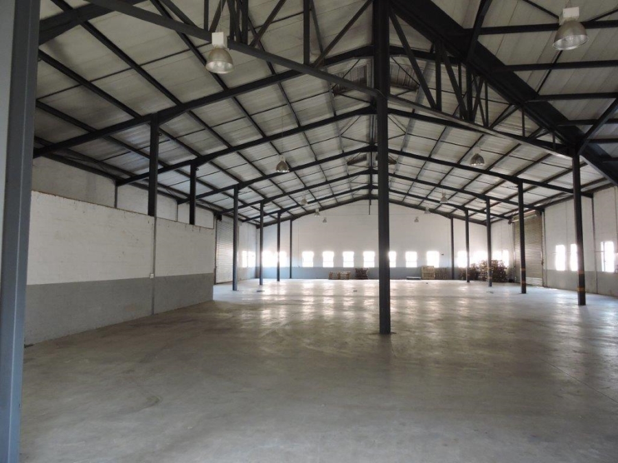 To Let commercial Property for Rent in Rocky Drift Mpumalanga