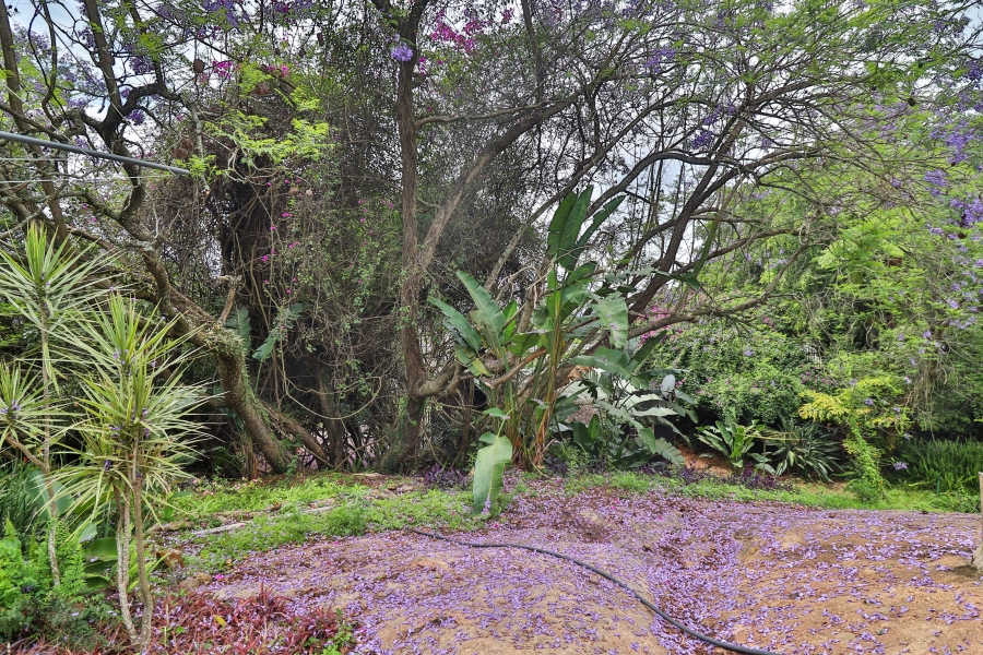 7 Bedroom Property for Sale in White River Mpumalanga