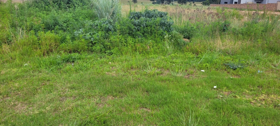 0 Bedroom Property for Sale in Aerorand Mpumalanga