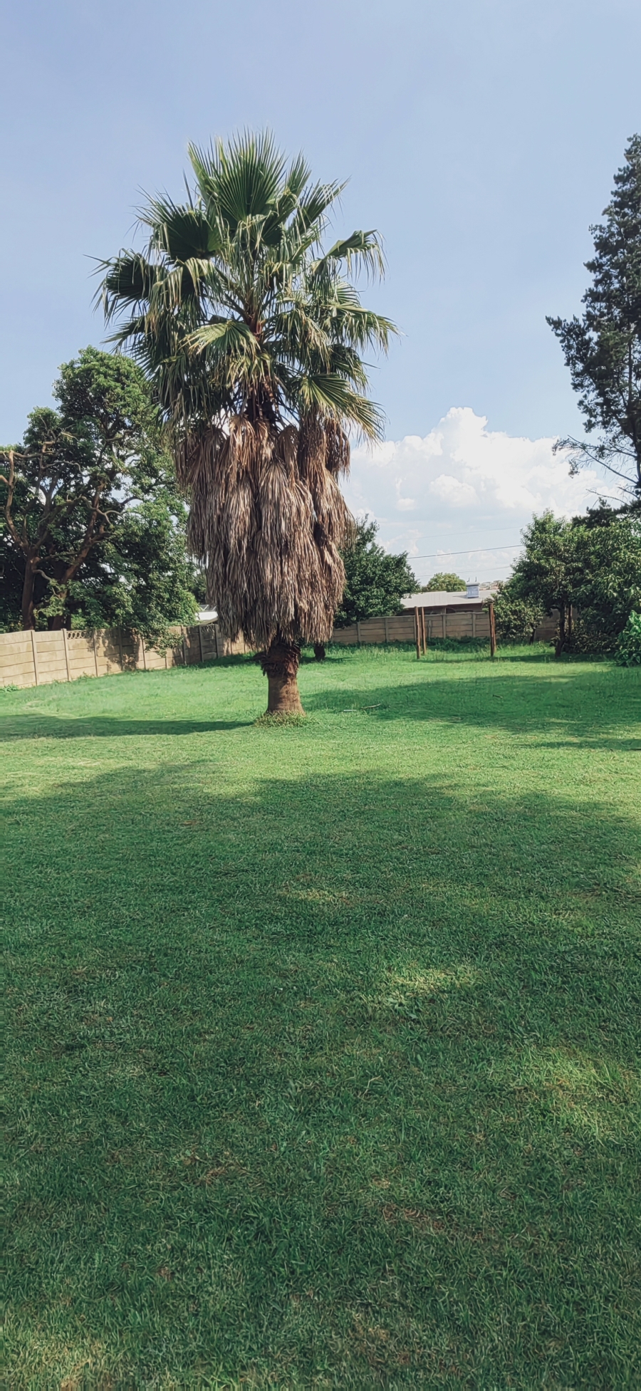 3 Bedroom Property for Sale in New Bethal East Mpumalanga