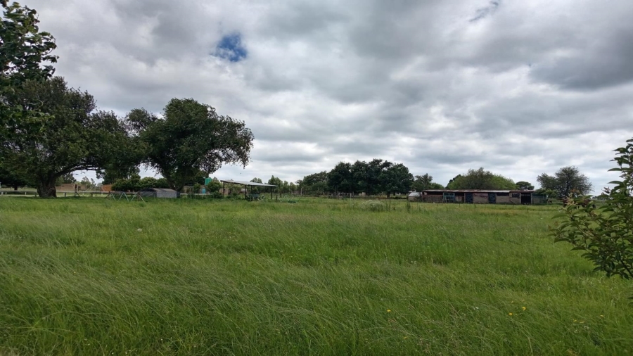 3 Bedroom Property for Sale in Modder East Orchards A H Mpumalanga