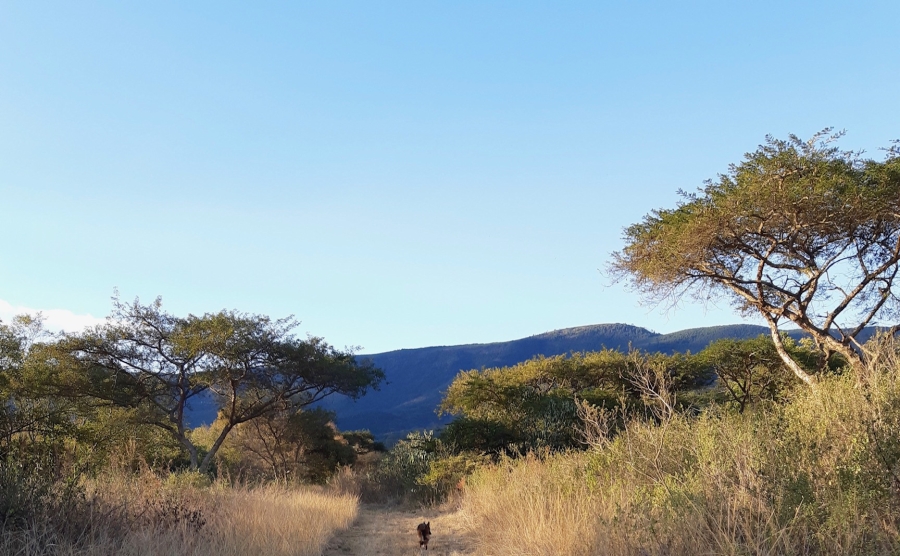 5 Bedroom Property for Sale in Nelspruit Rural Mpumalanga