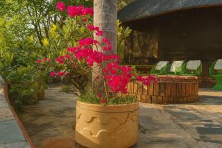 5 Bedroom Property for Sale in Nelspruit Rural Mpumalanga