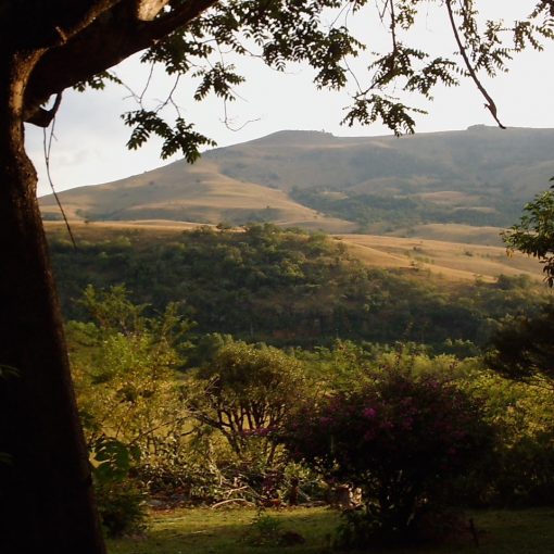 5 Bedroom Property for Sale in Nelspruit Rural Mpumalanga