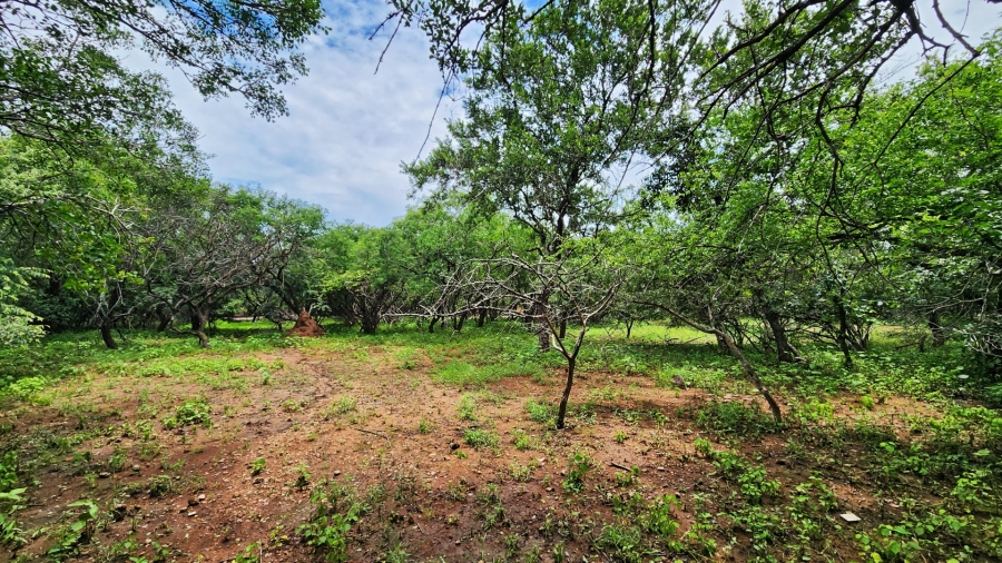 4 Bedroom Property for Sale in Marloth Park Mpumalanga