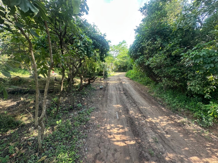 12 Bedroom Property for Sale in Nelspruit Rural Mpumalanga