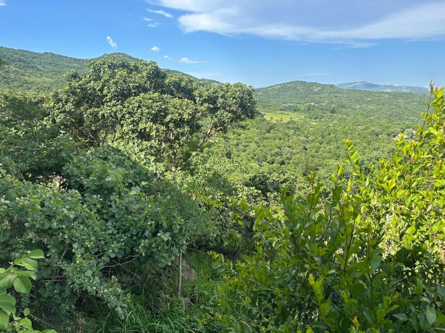 12 Bedroom Property for Sale in Nelspruit Rural Mpumalanga