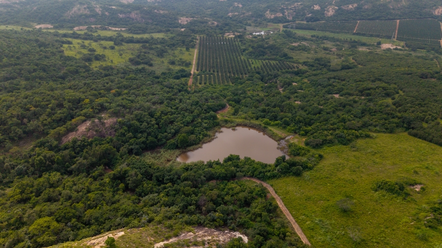 0 Bedroom Property for Sale in Alkmaar Mpumalanga