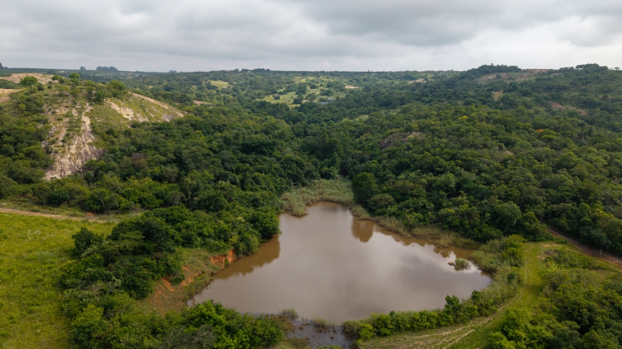 0 Bedroom Property for Sale in Alkmaar Mpumalanga