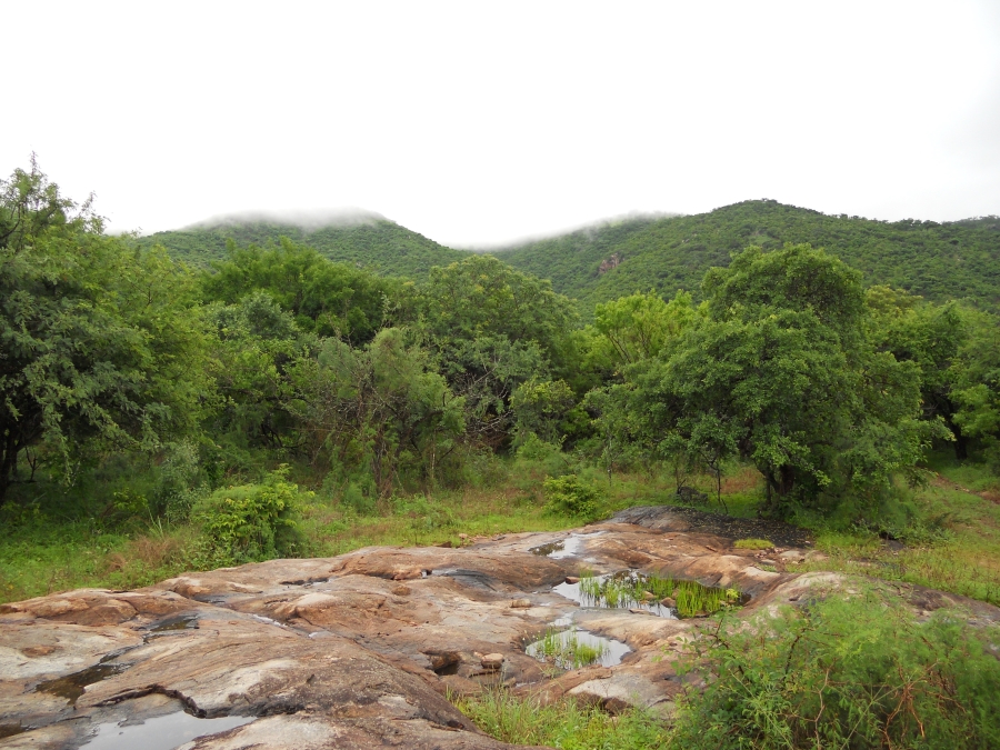 Commercial Property for Sale in Nelspruit Rural Mpumalanga