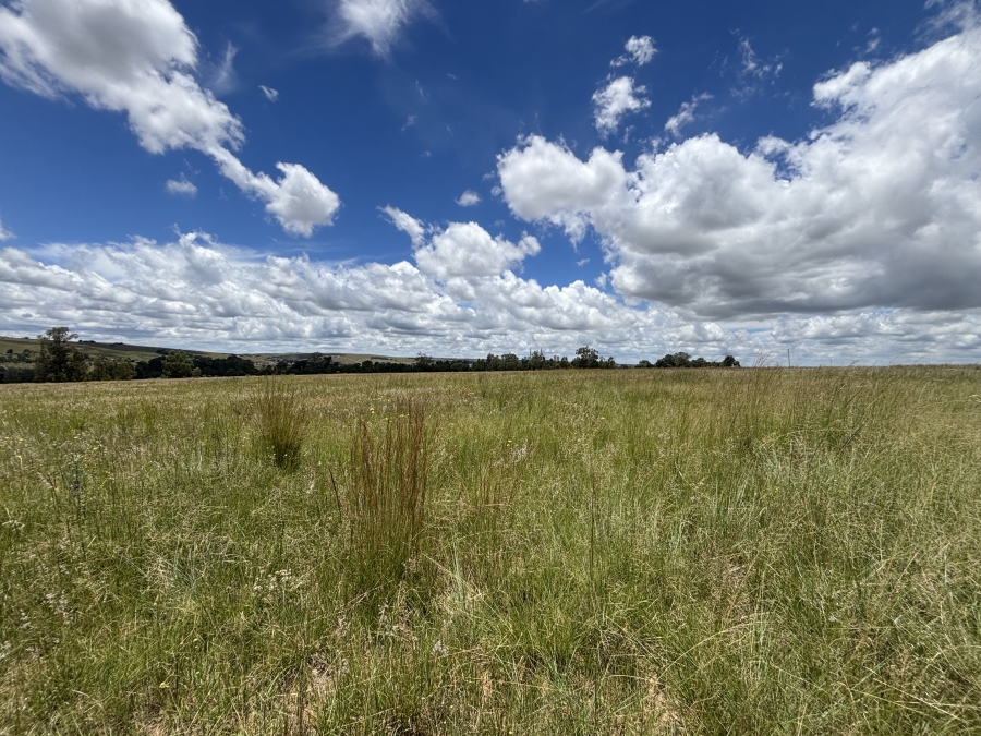 Commercial Property for Sale in Naaupoort Mpumalanga