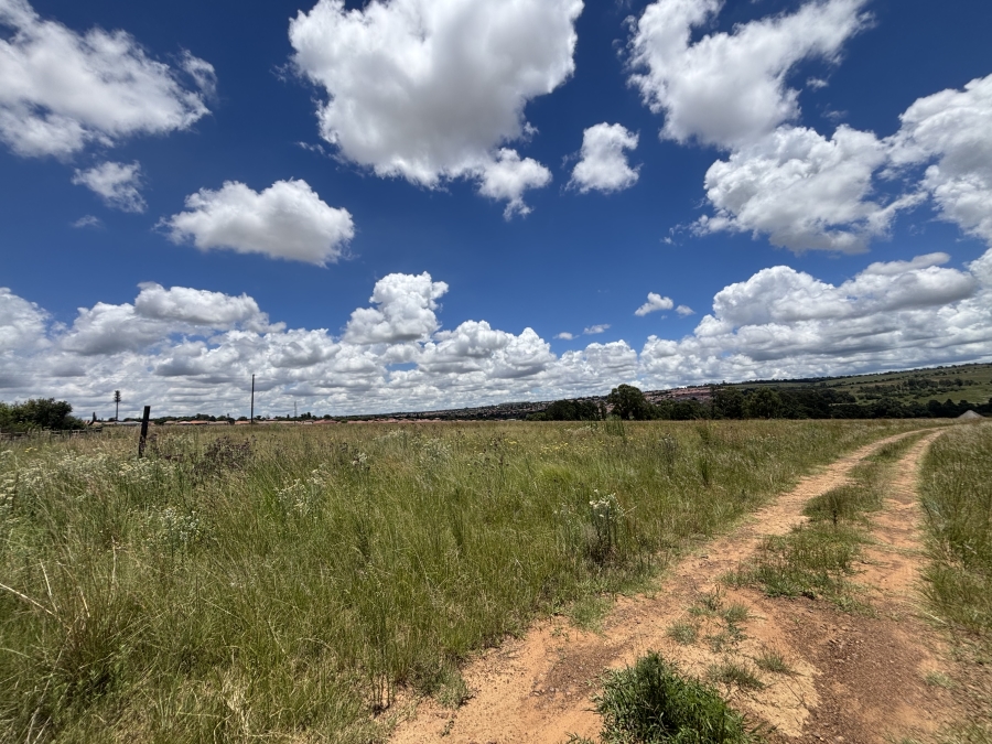 Commercial Property for Sale in Naaupoort Mpumalanga