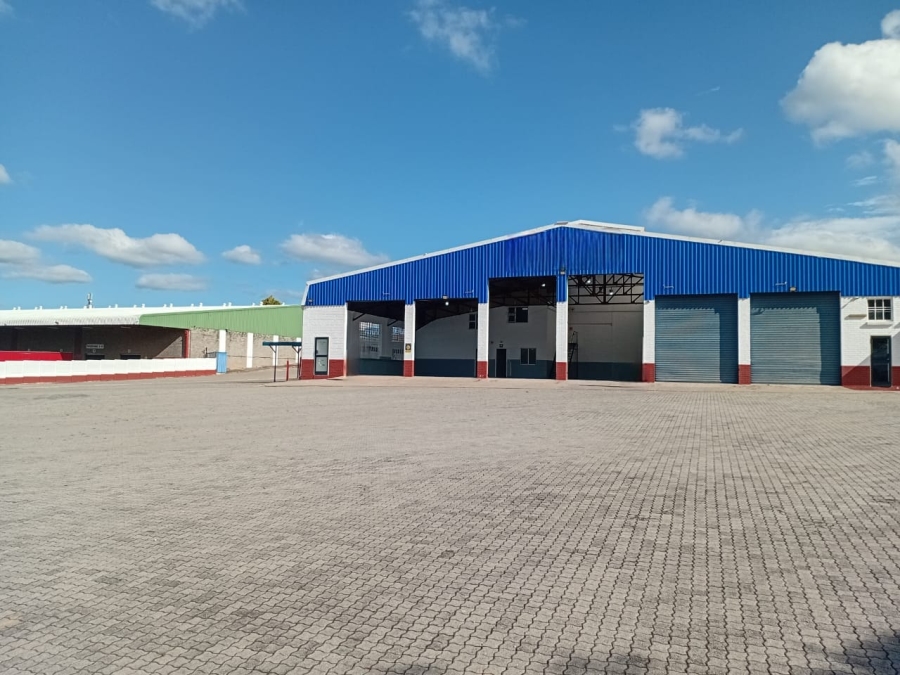 To Let commercial Property for Rent in Rocky Drift Mpumalanga