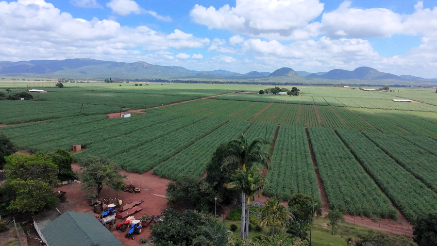 Commercial Property for Sale in Malelane Mpumalanga