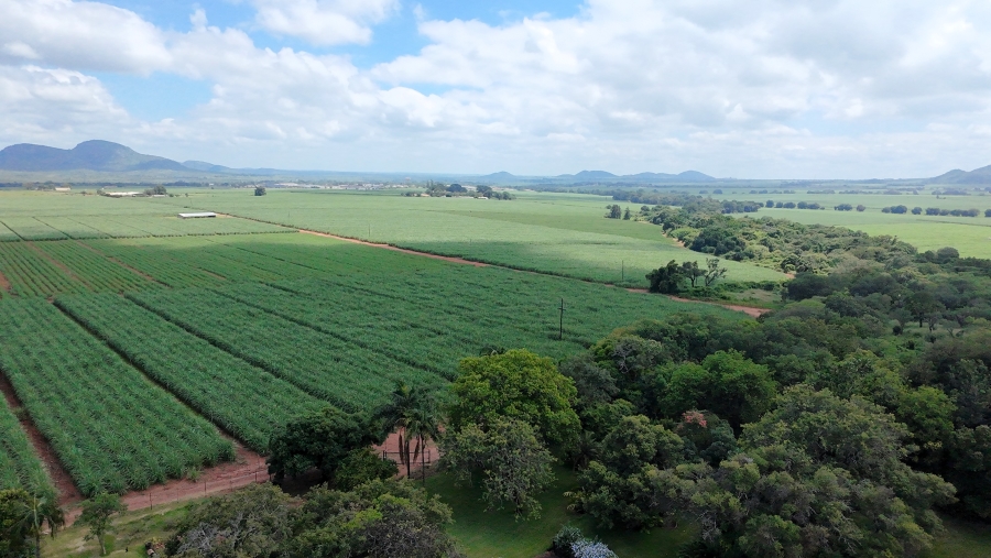 Commercial Property for Sale in Malelane Mpumalanga