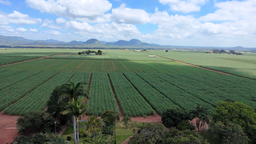 Commercial Property for Sale in Malelane Mpumalanga