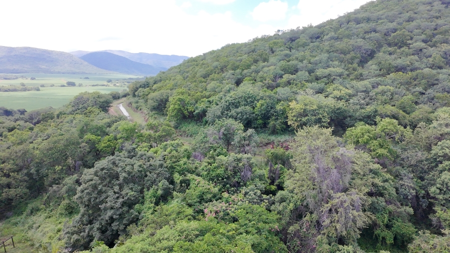 Commercial Property for Sale in Malelane Mpumalanga