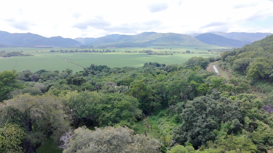 Commercial Property for Sale in Malelane Mpumalanga