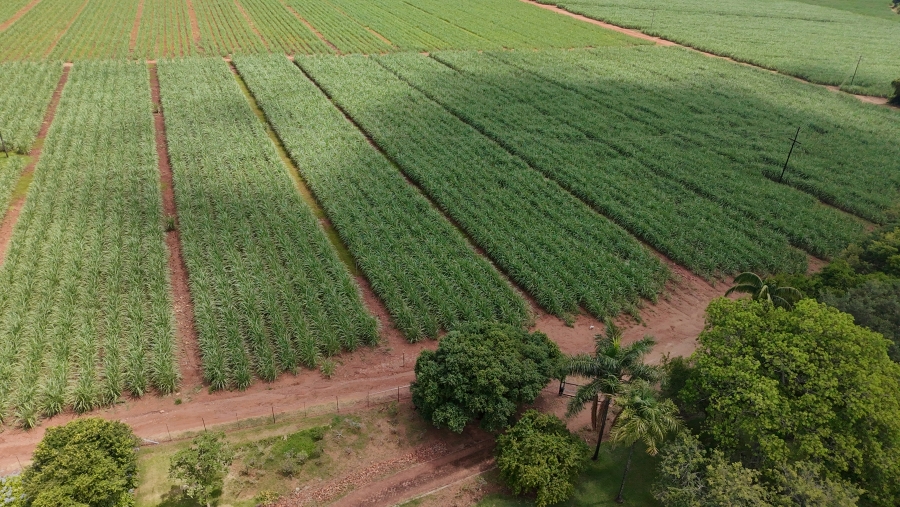 Commercial Property for Sale in Malelane Mpumalanga