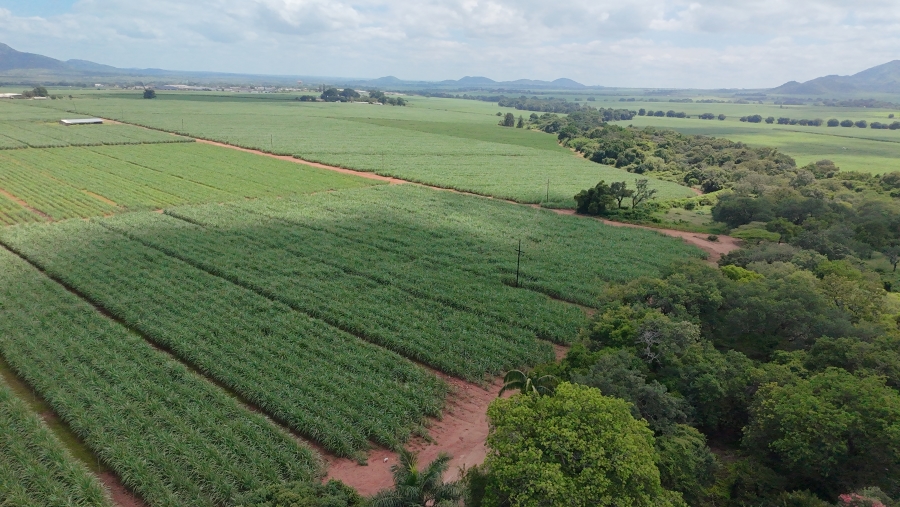 Commercial Property for Sale in Malelane Mpumalanga