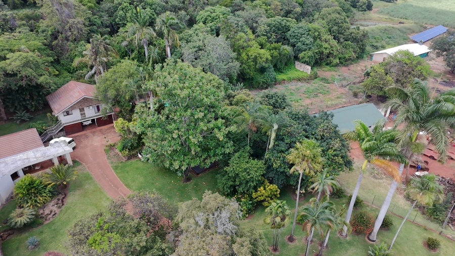 Commercial Property for Sale in Malelane Mpumalanga