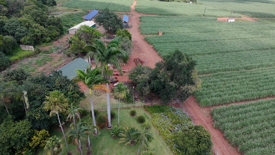 Commercial Property for Sale in Malelane Mpumalanga