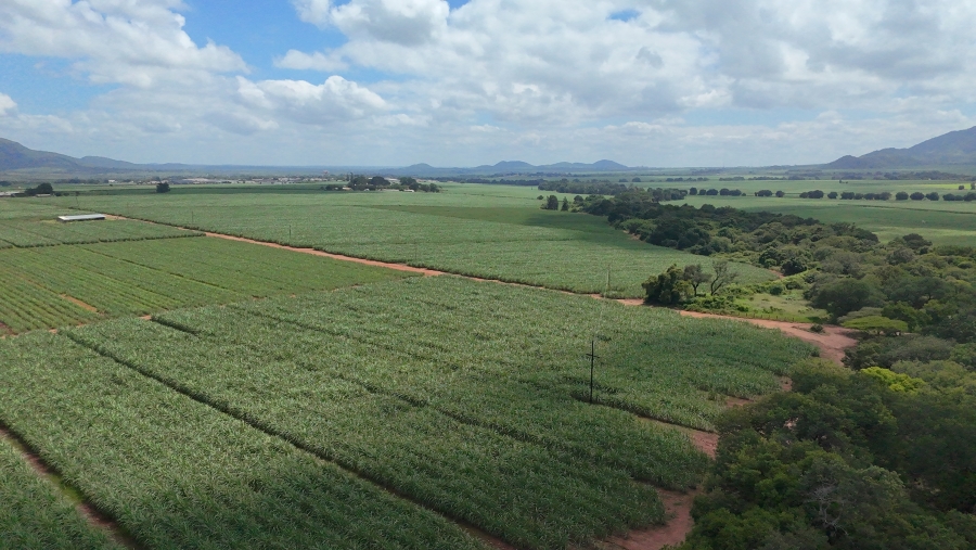 Commercial Property for Sale in Malelane Mpumalanga