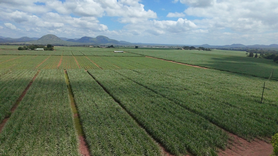 Commercial Property for Sale in Malelane Mpumalanga