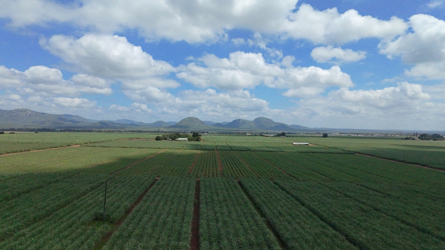 Commercial Property for Sale in Malelane Mpumalanga