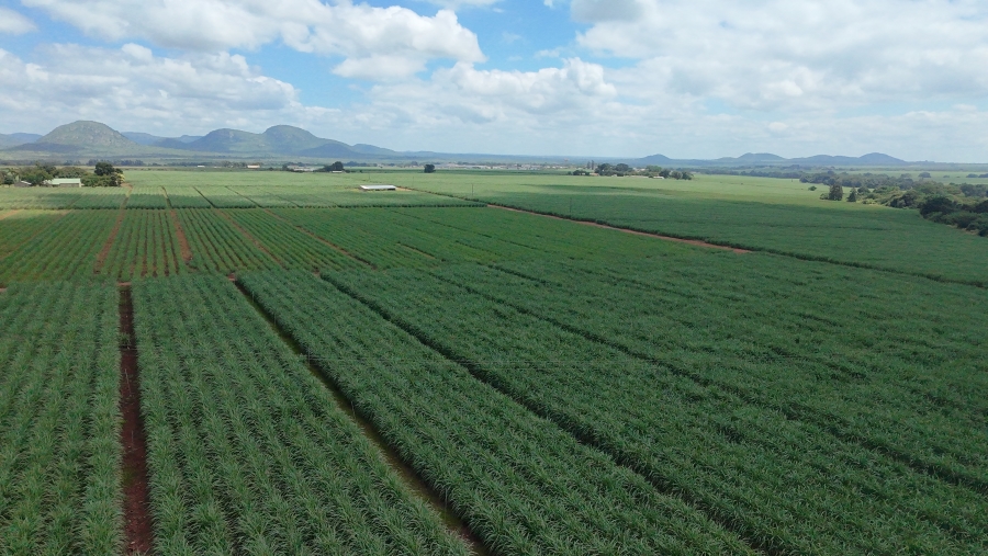 Commercial Property for Sale in Malelane Mpumalanga