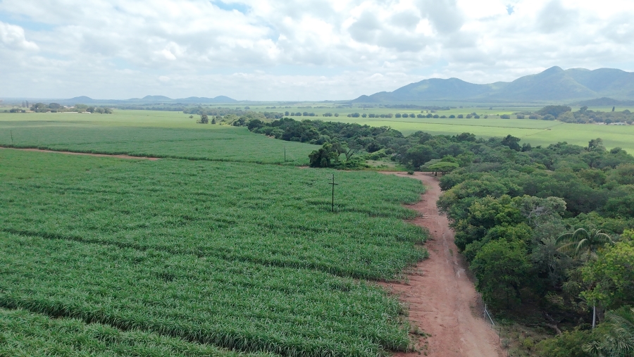 Commercial Property for Sale in Malelane Mpumalanga