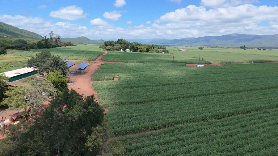 Commercial Property for Sale in Malelane Mpumalanga