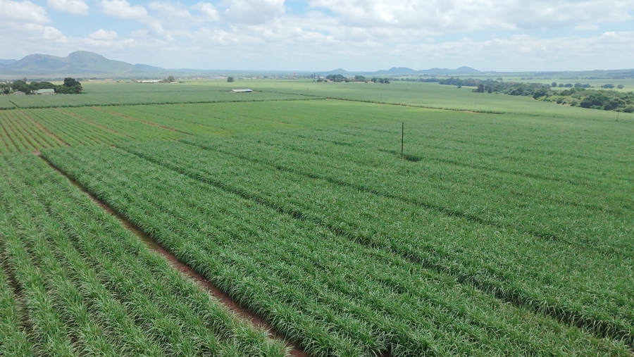 Commercial Property for Sale in Malelane Mpumalanga