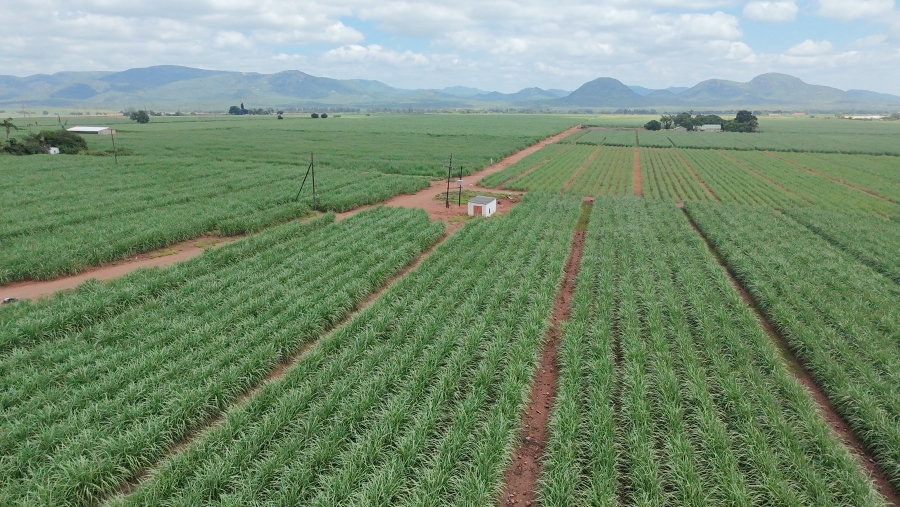 Commercial Property for Sale in Malelane Mpumalanga