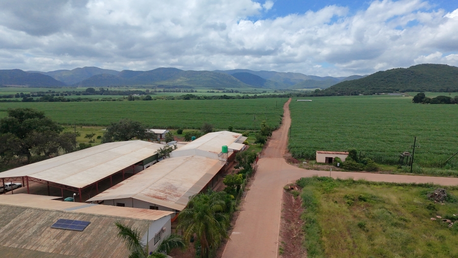 Commercial Property for Sale in Malelane Mpumalanga