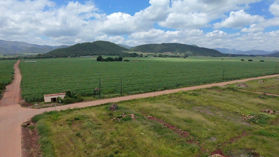 Commercial Property for Sale in Malelane Mpumalanga