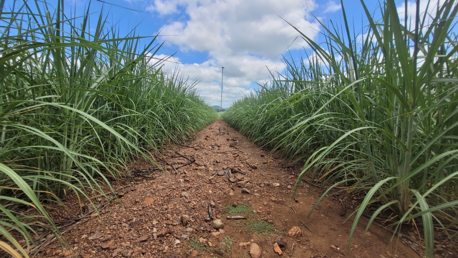 Commercial Property for Sale in Malelane Mpumalanga