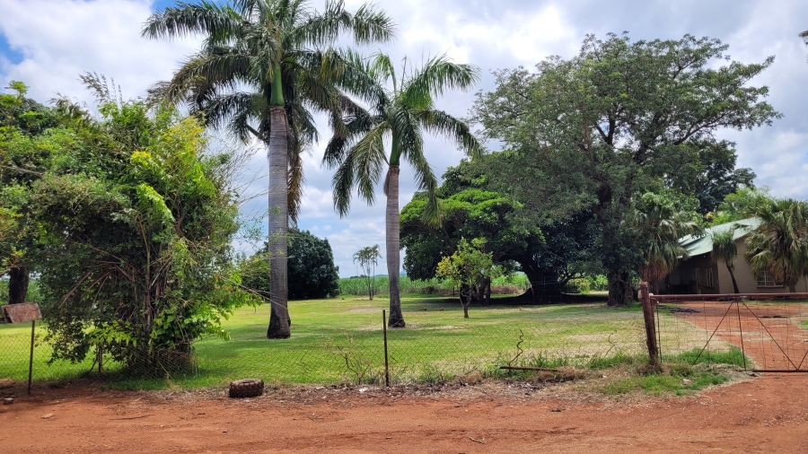 Commercial Property for Sale in Malelane Mpumalanga