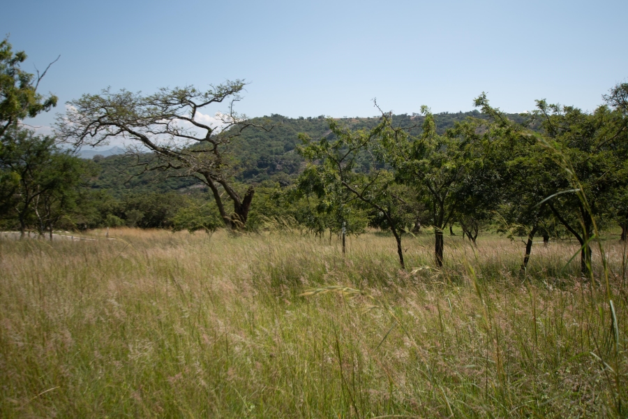 0 Bedroom Property for Sale in The Rest Nature Estate Mpumalanga