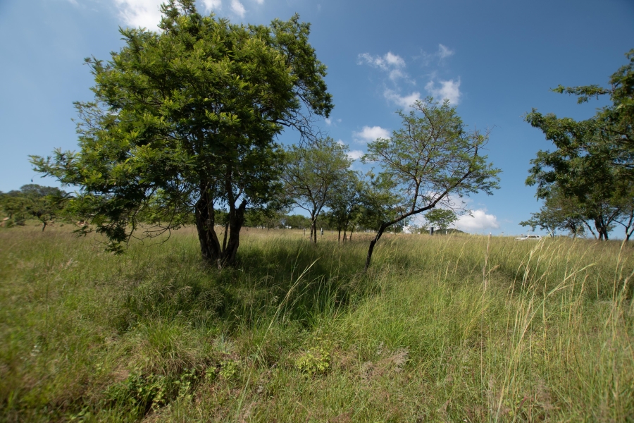 0 Bedroom Property for Sale in The Rest Nature Estate Mpumalanga