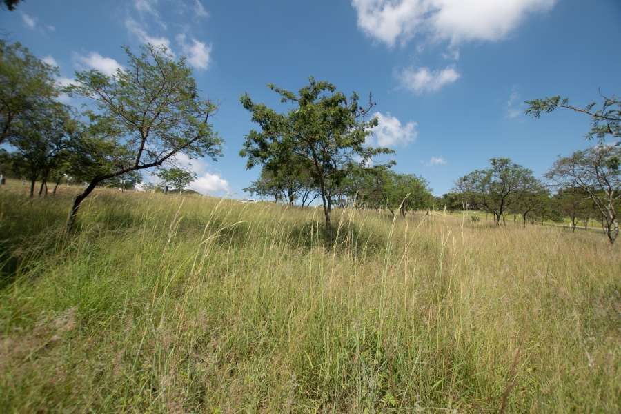 0 Bedroom Property for Sale in The Rest Nature Estate Mpumalanga