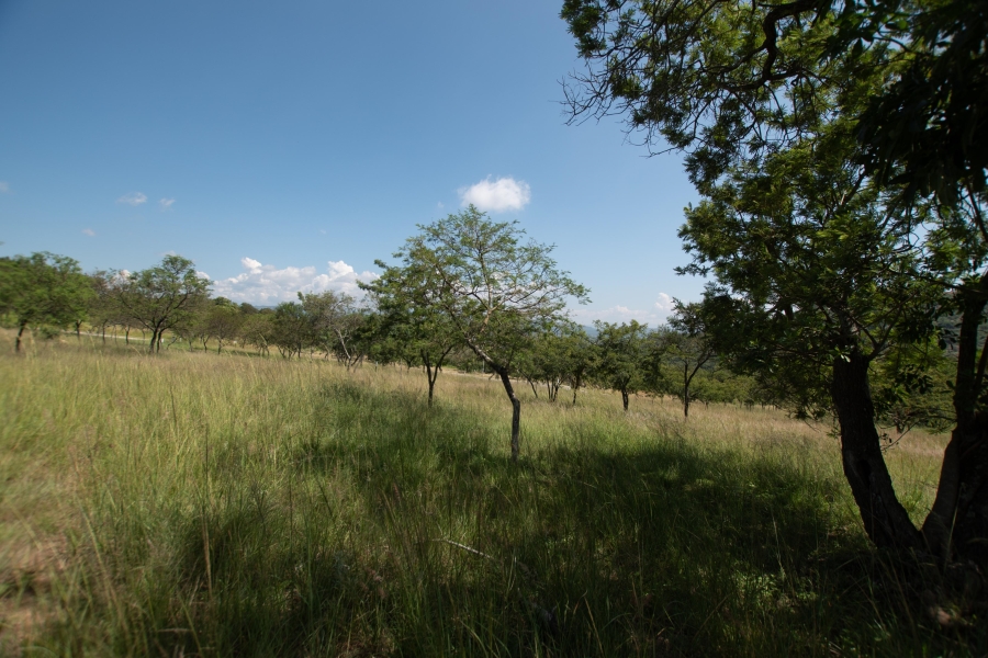 0 Bedroom Property for Sale in The Rest Nature Estate Mpumalanga