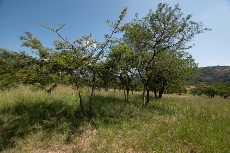 0 Bedroom Property for Sale in The Rest Nature Estate Mpumalanga